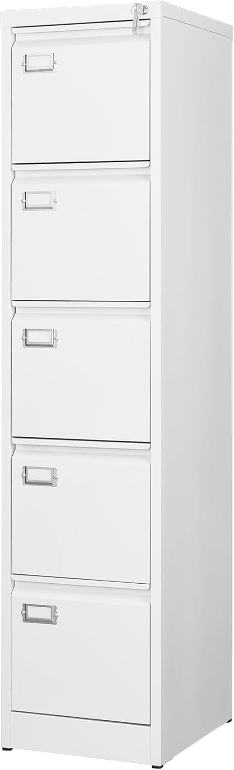 2 Drawer File Cabinet with Lock Vertical Filing Storage Cabinet Office Home Steel Vertical File Cabinets for Letter Size File Cabinet Locked,Assembly Required
