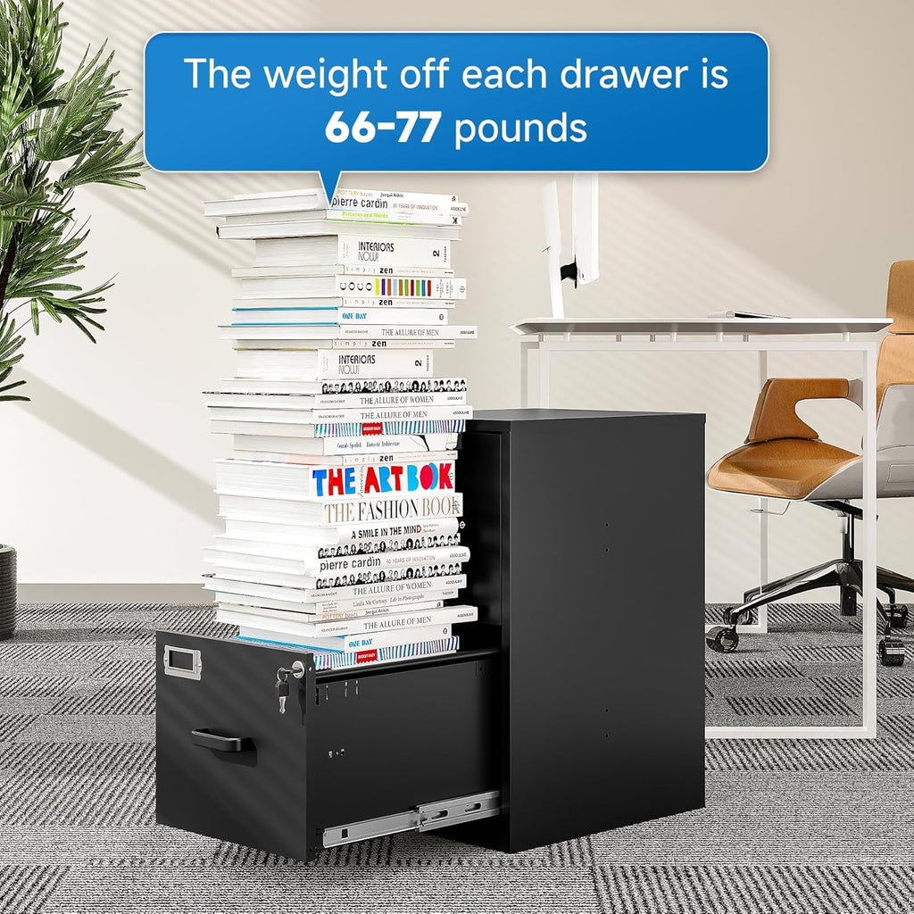 2 Drawer File Cabinet with Lock Vertical Filing Storage Cabinet Office Home Steel Vertical File Cabinets for Letter Size File Cabinet Locked,Assembly Required